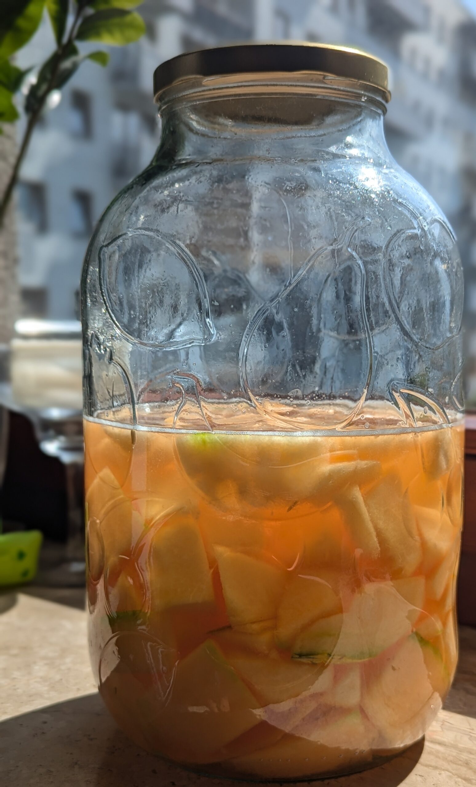 domowa nalewka z melona