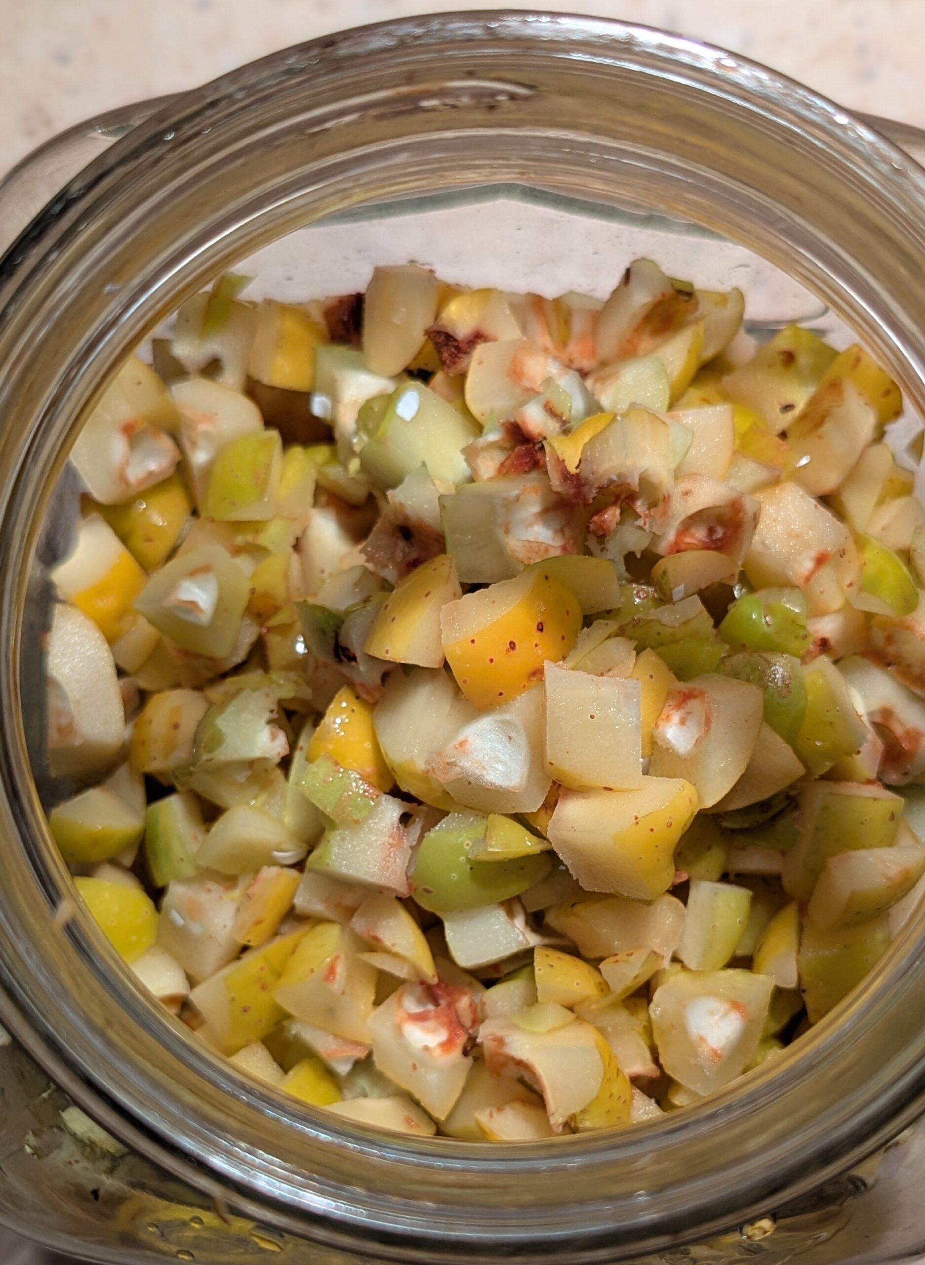 nalewka z pigwowca w słoju podczas maceracji