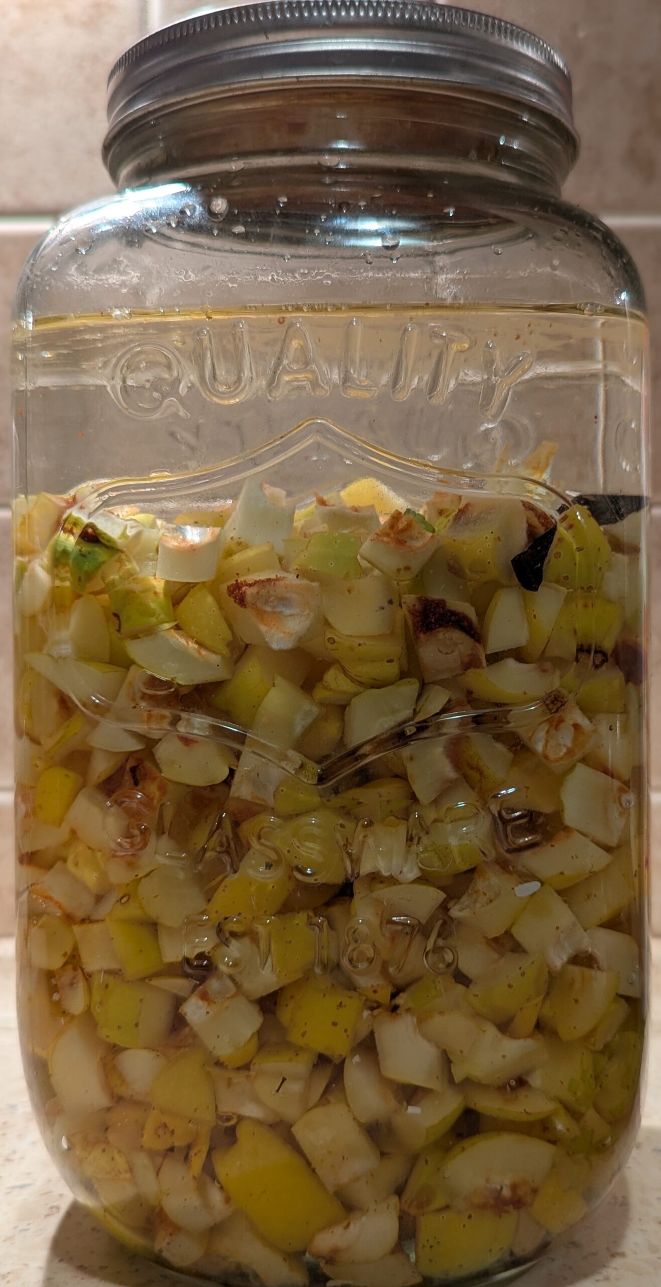 nalewka z pigwowca w słoju podczas maceracji